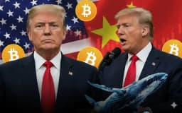 Why Did Bitcoin Crash in October 2025? : Unraveling the Ties to Trump, America, BlackRock, Gold, and the US Dollar.